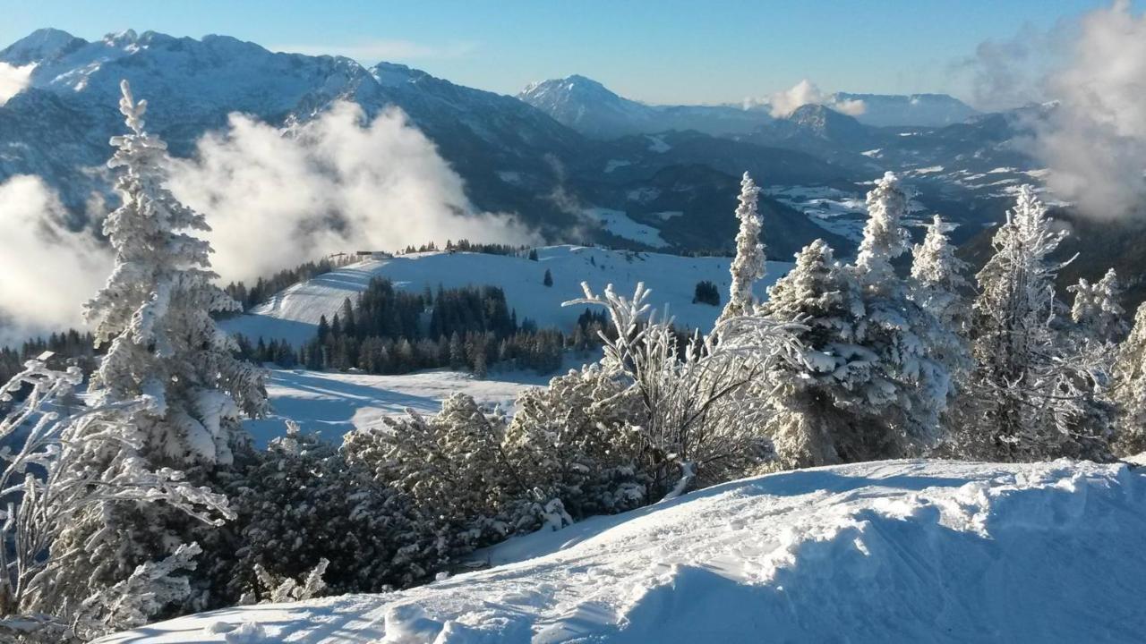 Готель Fesengut Аннаберґ-ім-Ламмерталь Екстер'єр фото