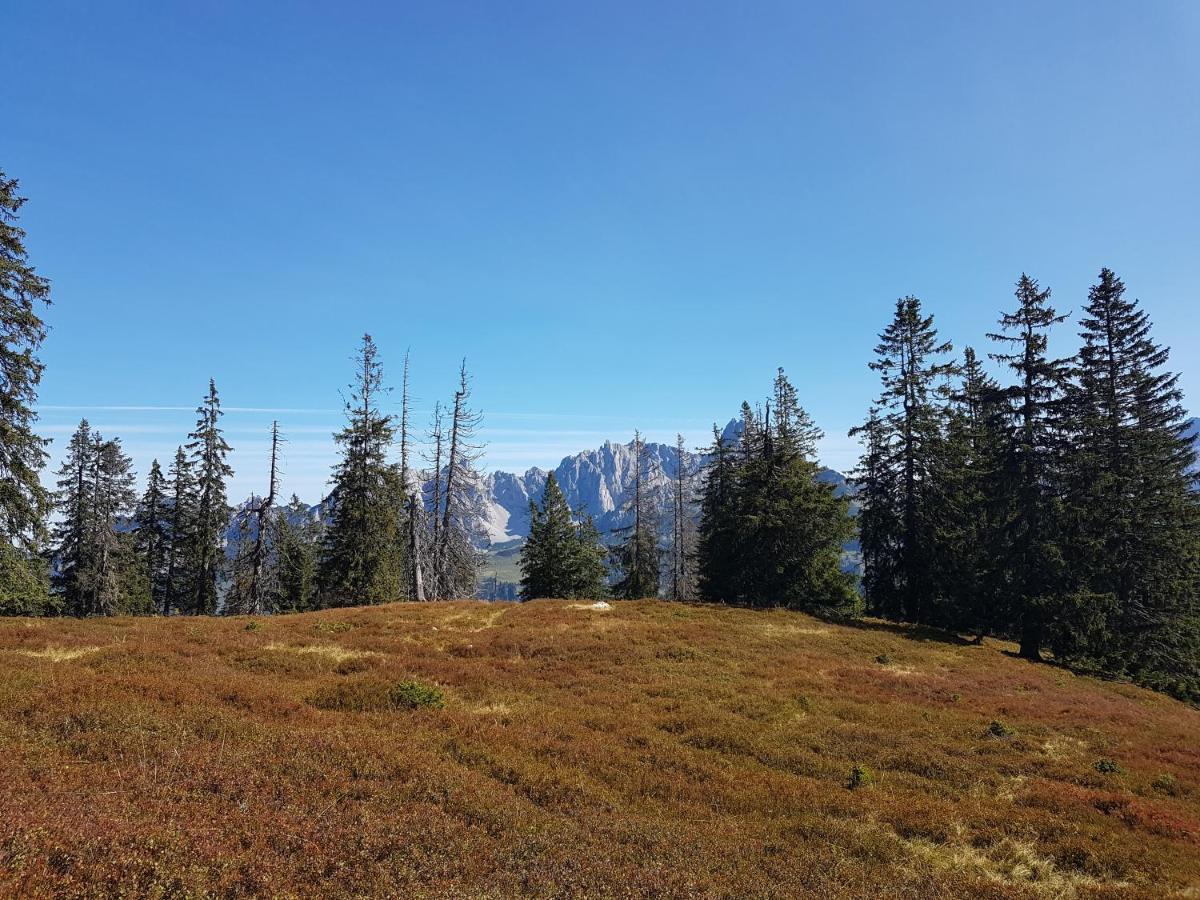 Готель Fesengut Аннаберґ-ім-Ламмерталь Екстер'єр фото
